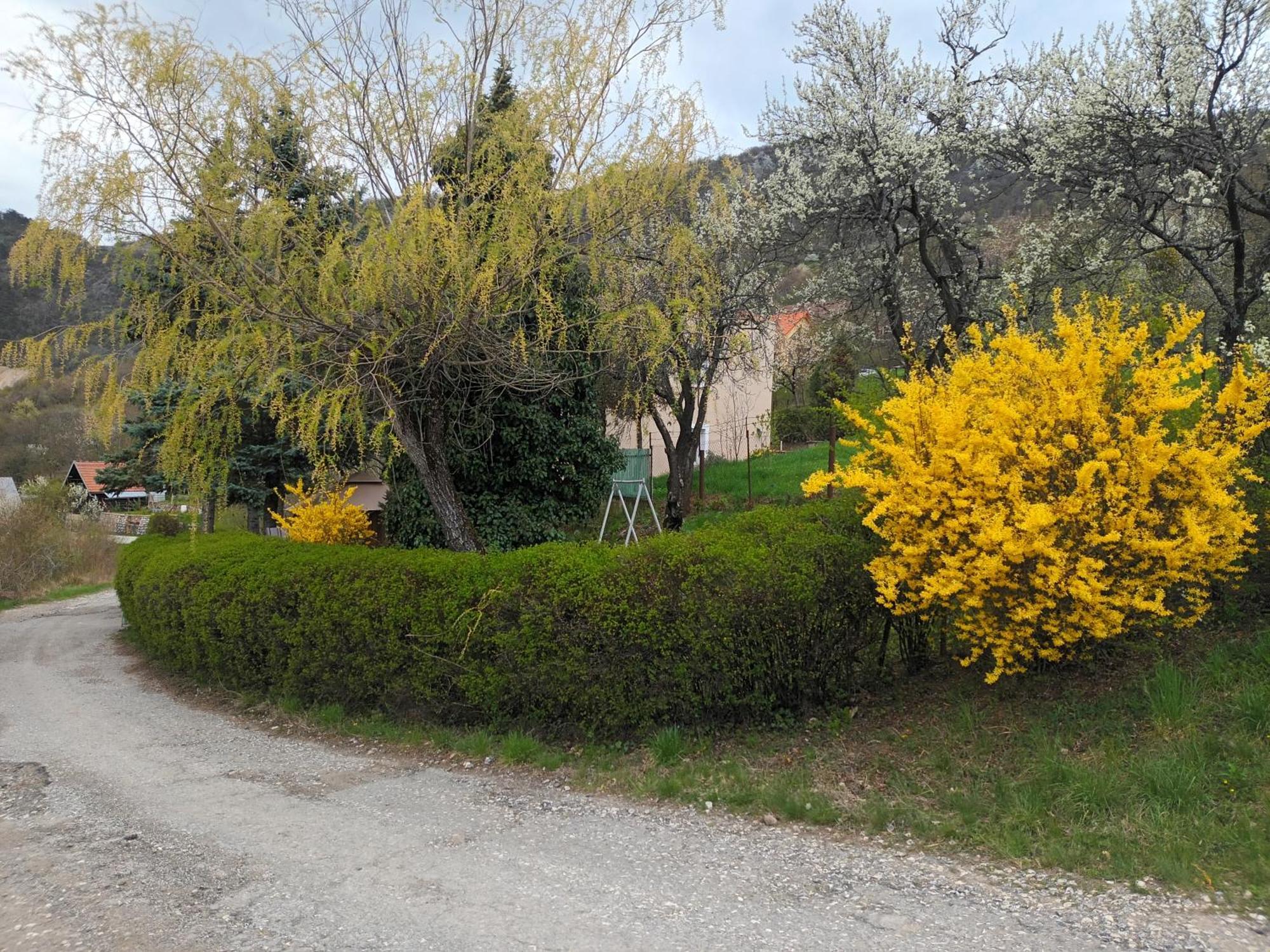 Villa Evetes Jablonov nad Turnou Exteriör bild